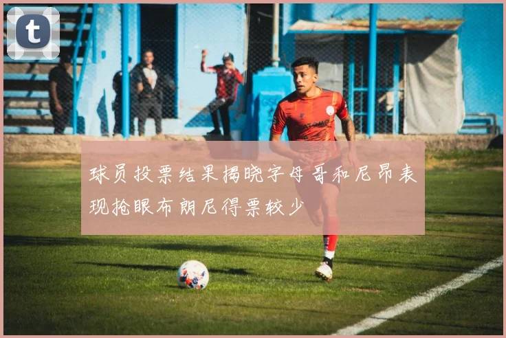球员投票结果揭晓字母哥和尼昂表现抢眼布朗尼得票较少
